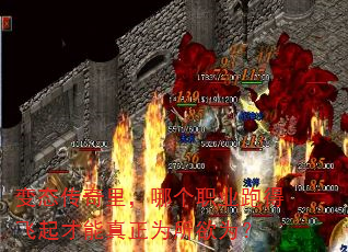 ̬ĸְҵܵ÷ΪΪ
