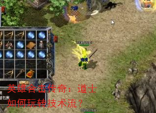 Ӣۺϻ棺ʿת