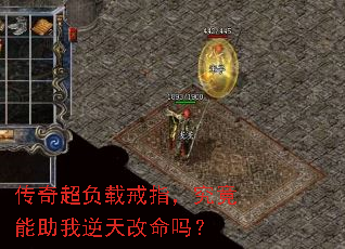 泬ؽָ