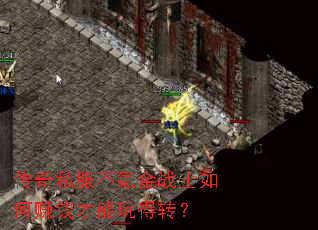 ˽봽սʿ׬Ǯת