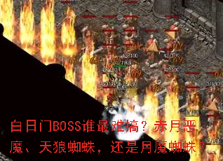BOSS˭Ѹ㣿¶ħ֩룬ħ֩룿