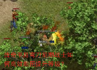 䵶ǰսʿθЧˢͼȼ