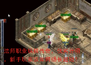 ʦְҵݺᴫ棬ӷҸﳤ̣ܶ