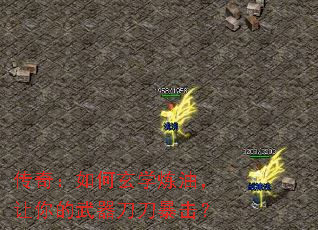 棺ѧͣ