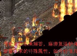 Ըԣֵ