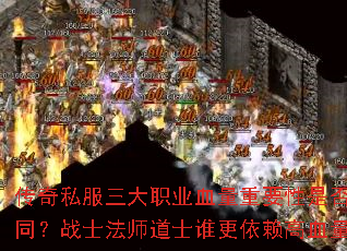 ˽ְҵѪҪǷͬսʿʦʿ˭Ѫ