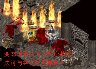 ̬ЩսĴʤ