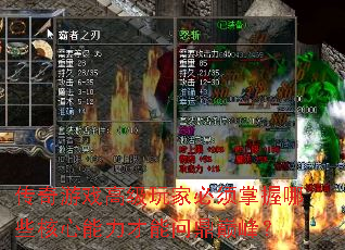 Ϸ߼ұЩʶ۷壿