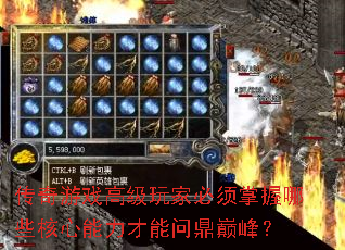 Ϸ߼ұЩʶ۷壿