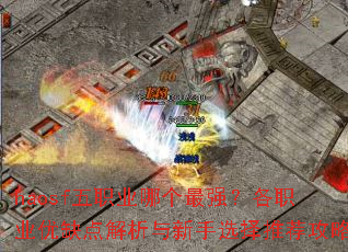 haosfְҵĸǿְҵȱѡƼ