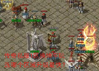 ˽1ѡĸ죿