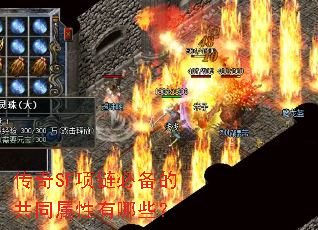 SFرĹͬЩ