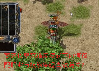 变态传奇高难度模式下如何搭配职业与技能实现高效通关? 变态传奇高难度模式下如何搭配职业与技能实现高效通关?