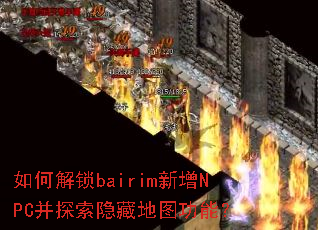 如何解锁bairim新增NPC并探索隐藏地图功能? 如何解锁bairim新增NPC并探索隐藏地图功能?