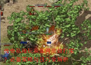 传奇私服玩家如何高效打宝?必备策略与技巧全解析 传奇私服玩家如何高效打宝?必备策略与技巧全解析