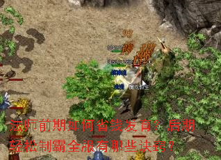 法师前期如何省钱发育?后期轻松制霸全服有哪些诀窍? 法师前期如何省钱发育?后期轻松制霸全服有哪些诀窍?