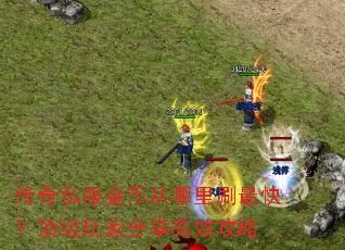 传奇私服金币从哪里刷最快?顶级玩家分享高效攻略 传奇私服金币从哪里刷最快?顶级玩家分享高效攻略