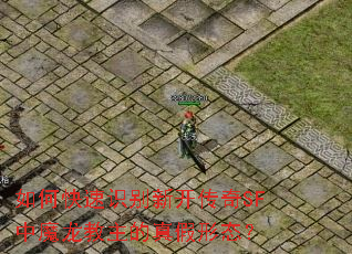 如何快速识别新开传奇SF中魔龙教主的真假形态? 如何快速识别新开传奇SF中魔龙教主的真假形态?