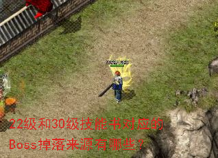 22级和30级技能书对应的Boss掉落来源有哪些? 22级和30级技能书对应的Boss掉落来源有哪些?