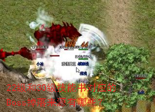 22级和30级技能书对应的Boss掉落来源有哪些? 22级和30级技能书对应的Boss掉落来源有哪些?