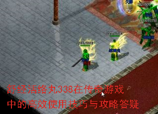 舒经活络丸338在传奇游戏中的高效使用技巧与攻略答疑 舒经活络丸338在传奇游戏中的高效使用技巧与攻略答疑