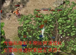 传奇私服新手期如何通过社交策略快速积累盟友资源? 传奇私服新手期如何通过社交策略快速积累盟友资源?