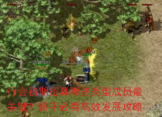 行会初期招募哪些类型成员最关键?新手必看高效发展攻略 行会初期招募哪些类型成员最关键?新手必看高效发展攻略