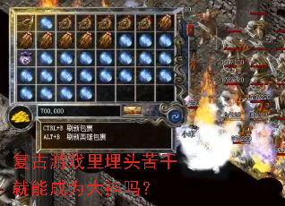 复古游戏里埋头苦干就能成为大神吗? 复古游戏里埋头苦干就能成为大神吗?