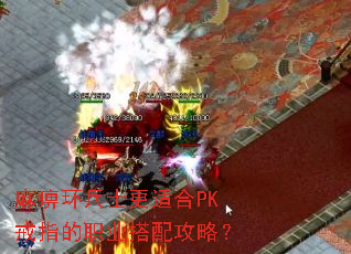 麻痹环兵士更适合PK戒指的职业搭配攻略? 麻痹环兵士更适合PK戒指的职业搭配攻略?