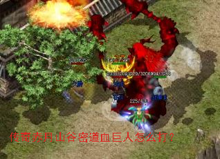 传奇赤月山谷密道血巨人怎么打? 传奇赤月山谷密道血巨人怎么打?