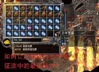 如何让宠物成为你传奇征途中的最强战力? 如何让宠物成为你传奇征途中的最强战力?