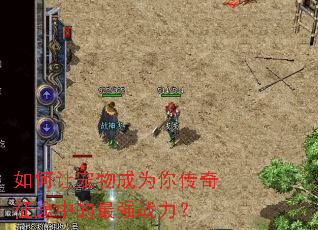 如何让宠物成为你传奇征途中的最强战力? 如何让宠物成为你传奇征途中的最强战力?