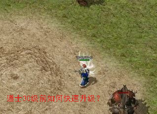 道士30级前如何快速升级? 道士30级前如何快速升级?