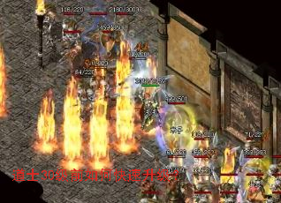 道士30级前如何快速升级? 道士30级前如何快速升级?