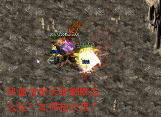 热血传奇天狼蜘蛛怎么招?如何招天狼? 热血传奇天狼蜘蛛怎么招?如何招天狼?