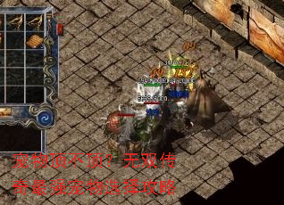 宠物顶不顶?无双传奇最强宠物选择攻略 宠物顶不顶?无双传奇最强宠物选择攻略