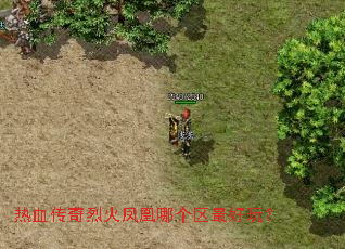 热血传奇烈火凤凰哪个区最好玩? 热血传奇烈火凤凰哪个区最好玩?