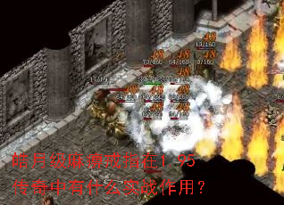 ¼Խָ1.95ʲôʵսã