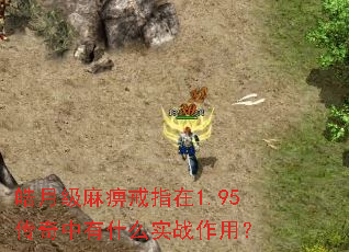 ¼Խָ1.95ʲôʵսã