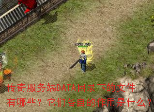 传奇服务端DATA目录下的文件有哪些?它们各自的作用是什么? 传奇服务端DATA目录下的文件有哪些?它们各自的作用是什么?