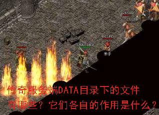 传奇服务端DATA目录下的文件有哪些?它们各自的作用是什么? 传奇服务端DATA目录下的文件有哪些?它们各自的作用是什么?