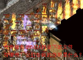 传奇服务端DATA目录下的文件有哪些?它们各自的作用是什么? 传奇服务端DATA目录下的文件有哪些?它们各自的作用是什么?