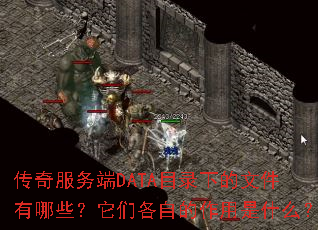 DATAĿ¼µļЩǸԵʲô