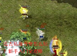 远古私服传奇怎么玩?新手入门全攻略 远古私服传奇怎么玩?新手入门全攻略