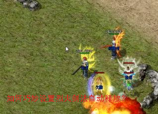 如何巧妙设置烈火剑法自动释放? 如何巧妙设置烈火剑法自动释放?