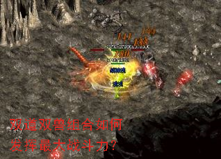 双道双兽组合如何发挥最大战斗力? 双道双兽组合如何发挥最大战斗力?