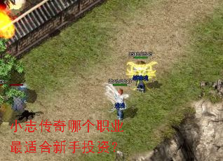 小志传奇哪个职业最适合新手投资? 小志传奇哪个职业最适合新手投资?