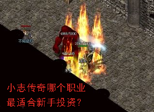 小志传奇哪个职业最适合新手投资? 小志传奇哪个职业最适合新手投资?