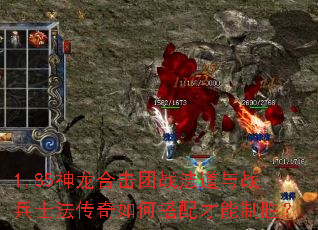 1.85神龙合击团战法道与战兵士法传奇如何搭配才能制胜? 1.85神龙合击团战法道与战兵士法传奇如何搭配才能制胜?