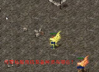 传奇私服商店装备种类有哪些? 传奇私服商店装备种类有哪些?